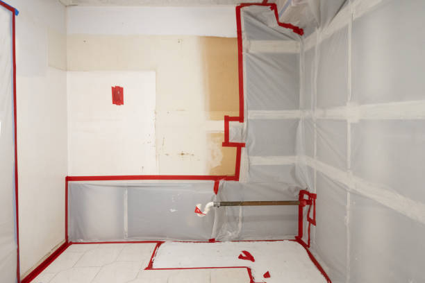 Best Attic Mold Removal  in Wolfhurst, OH